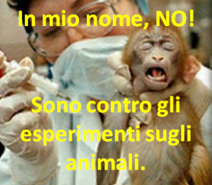IN MIO NOME. NO !